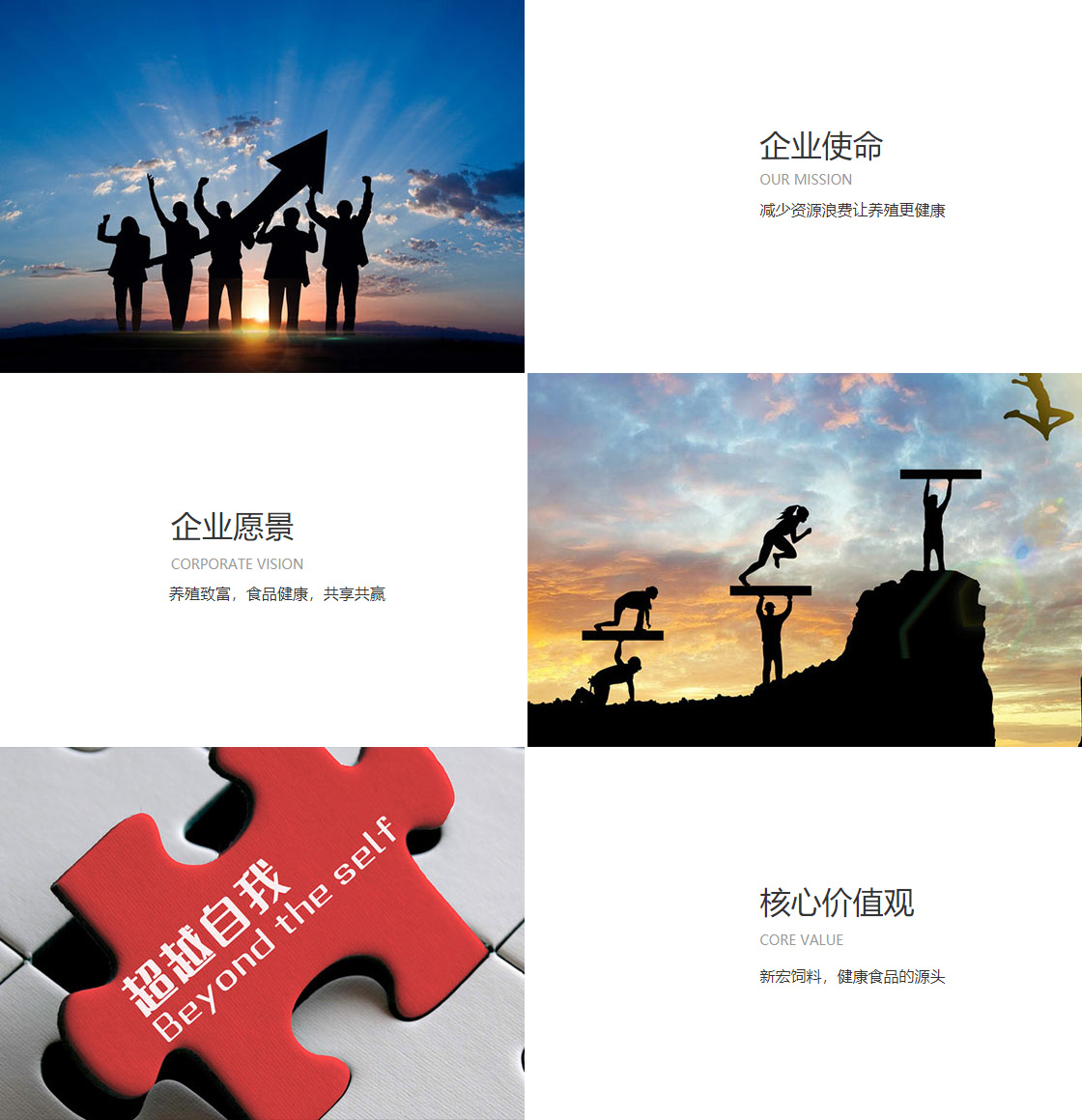 ag币游国际登录网址(图1)